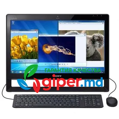 Моноблок Sony Vaio J11M1R/B Black фото 1
