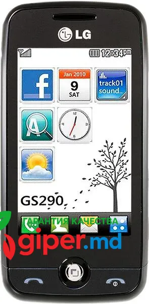 LG GS290 Black фото 1
